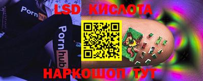 мяу мяу мука Кингисепп