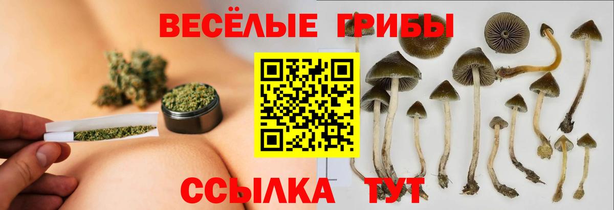 Галлюциногенные грибы мухоморы  Псилоцибиновые грибы мухоморы  Фурманов  Вход с VPN 